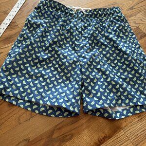 SOUTHERN TIDE THE SKIPJACK MENS SMALL BLUE GREEN LIME SWIM TRUNKS SHORTS